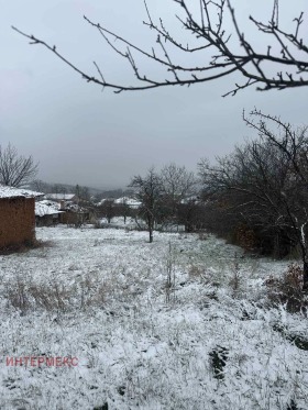 ����� ������� ������,�. ��������, ������ �����