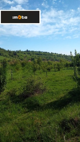 ������ ������� ������