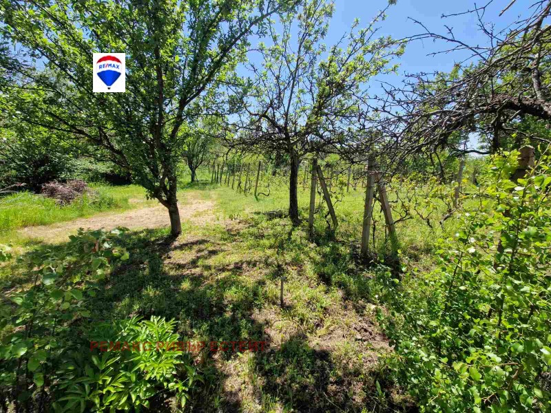 Προς πώληση  Βίλα Ρυσε , Δολαπητε , 64 τ.μ | 70957386 - εικόνα [11]