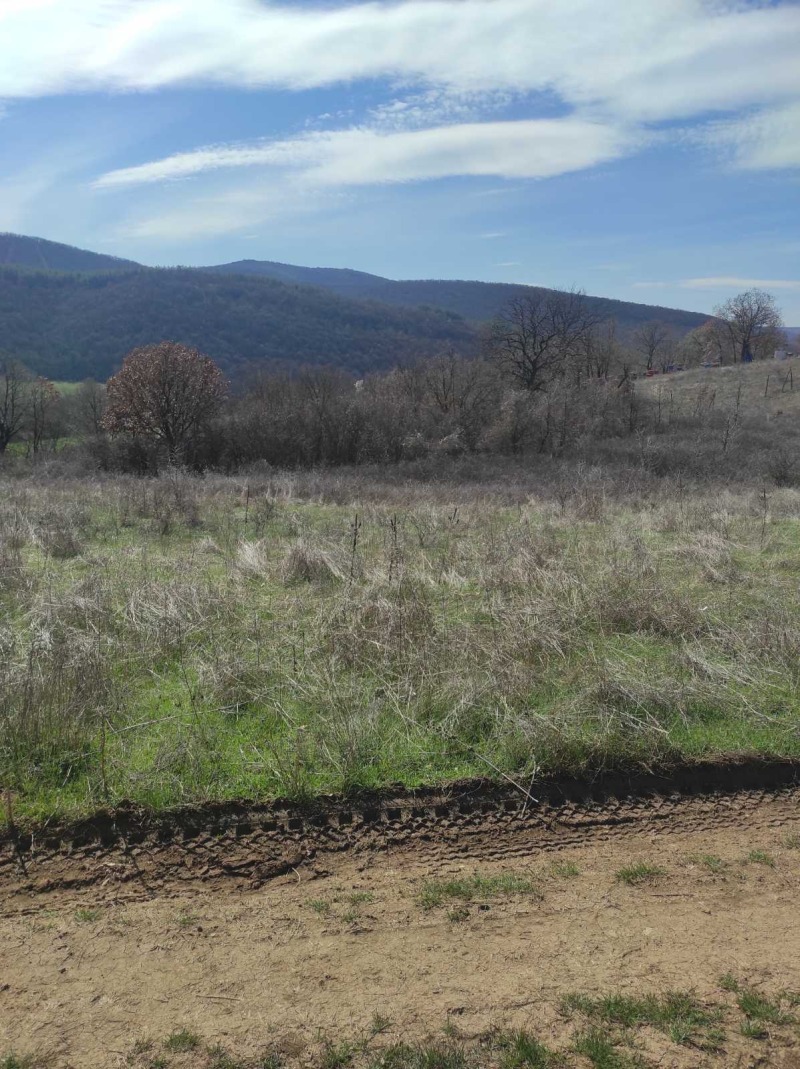 Na prodej  Spiknutí oblast Stará Zagora , Ljaskovo , 2800 m2 | 62431722 - obraz [2]
