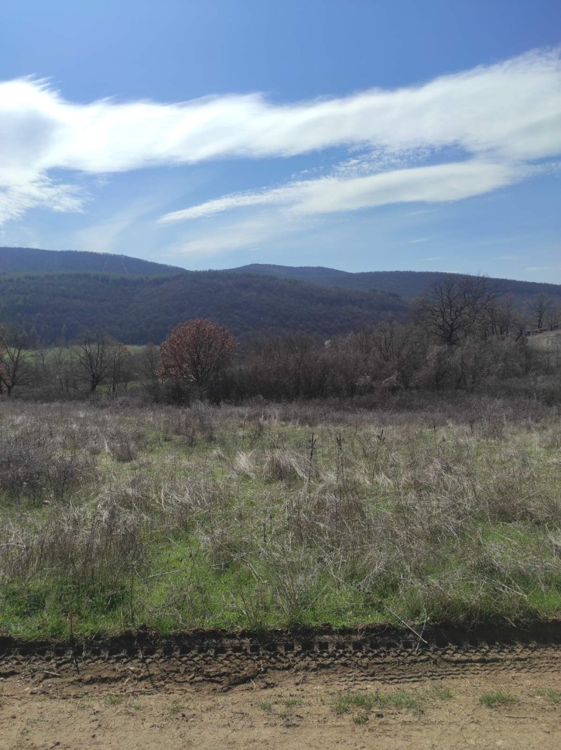 Na prodej  Spiknutí oblast Stará Zagora , Ljaskovo , 2800 m2 | 62431722