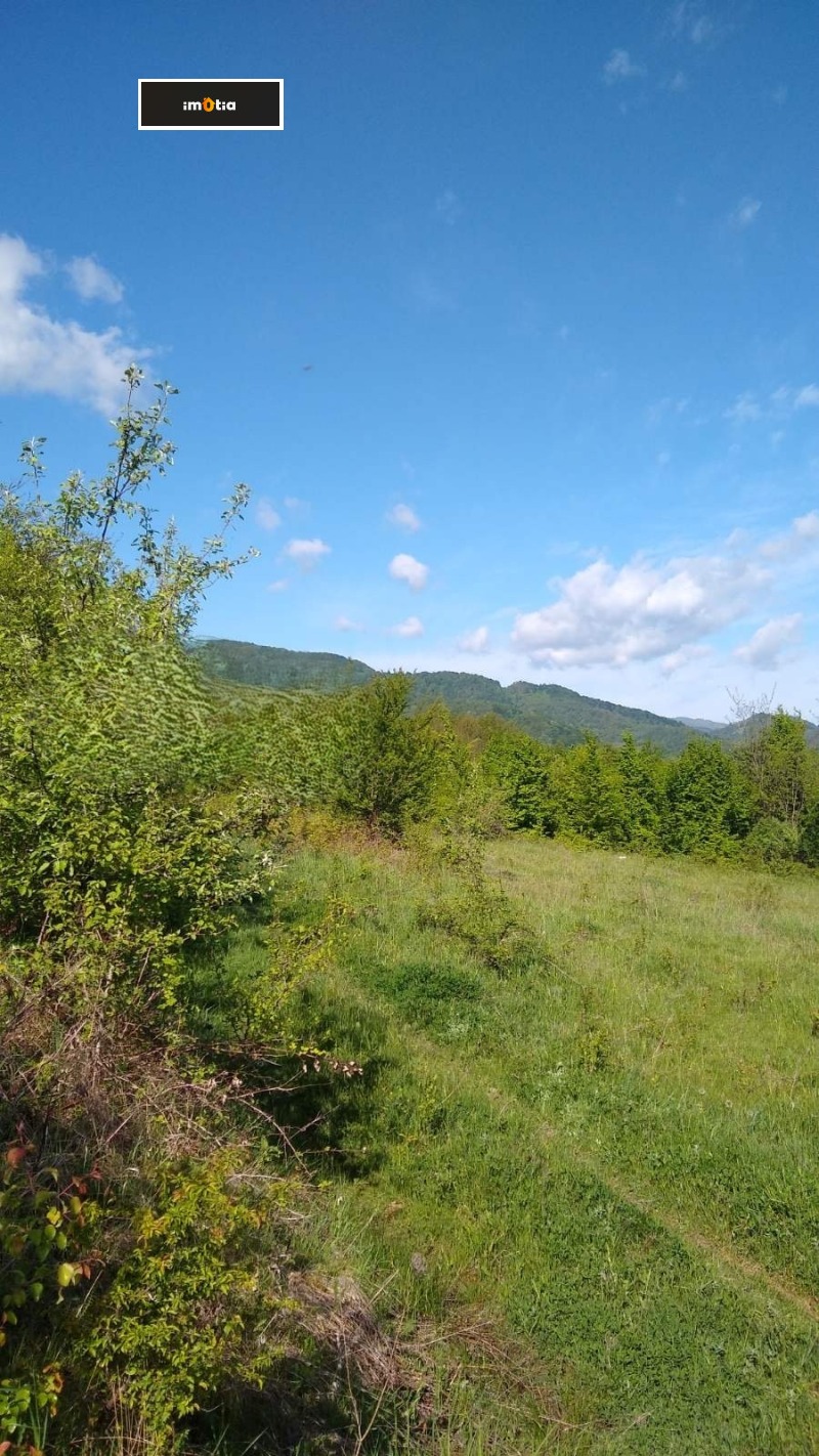 Продава ПАРЦЕЛ, с. Горно трапе, област Ловеч, снимка 3 - Парцели - 53085739