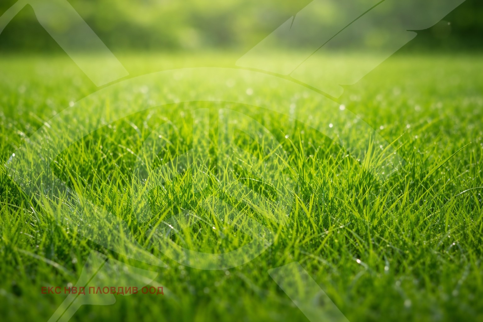 Продава ПАРЦЕЛ, с. Рогош, област Пловдив