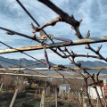 Продава ВИЛА, гр. Враца, Дъбника, снимка 7