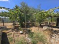 Продава ПАРЦЕЛ, град Варна, с. Звездица • 35000 € • 74689961 — Holmes.bg