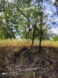 Продава ПАРЦЕЛ, гр. Игнатиево, област Варна, снимка 3