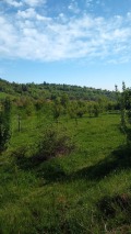 Продава ПАРЦЕЛ, с. Горно трапе, област Ловеч, снимка 1