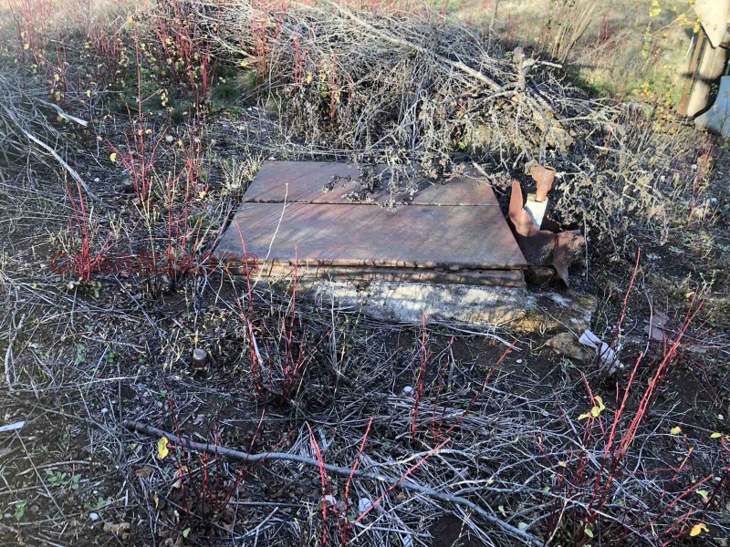 Продава ПАРЦЕЛ, с. Прибой, област Перник, снимка 6 - Парцели - 52781100