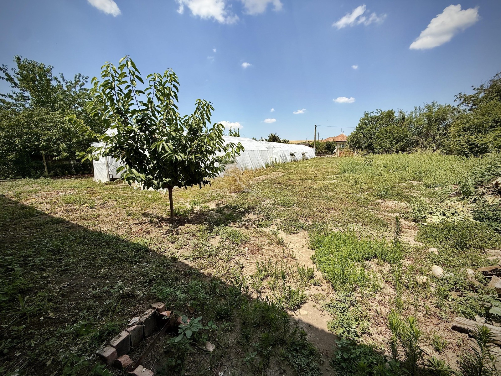 Продава КЪЩА, гр. Полски Тръмбеш, област Велико Търново, снимка 17 - Къщи - 55624364