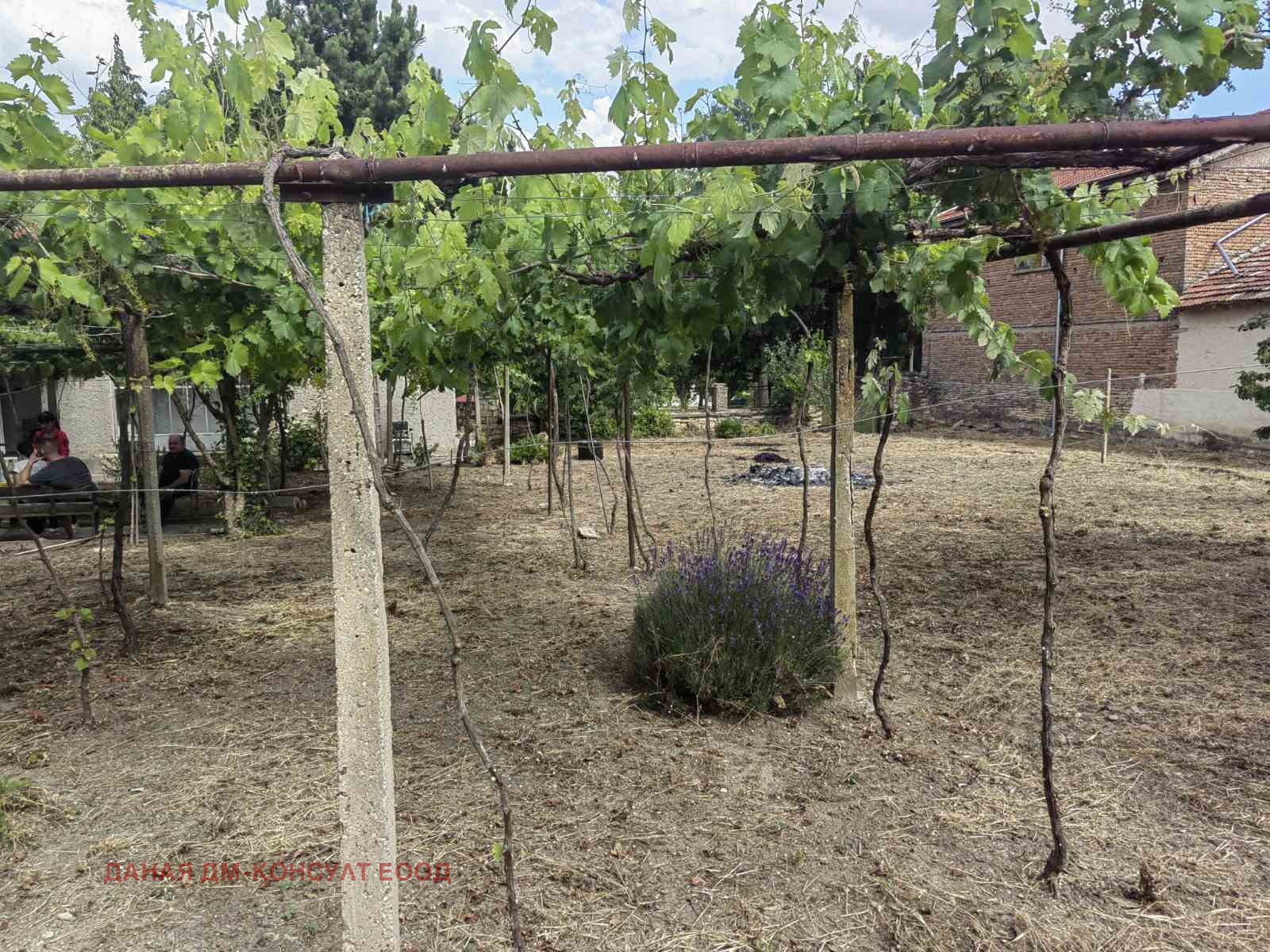 ������� ���� | Imot.bg � ����������� 11