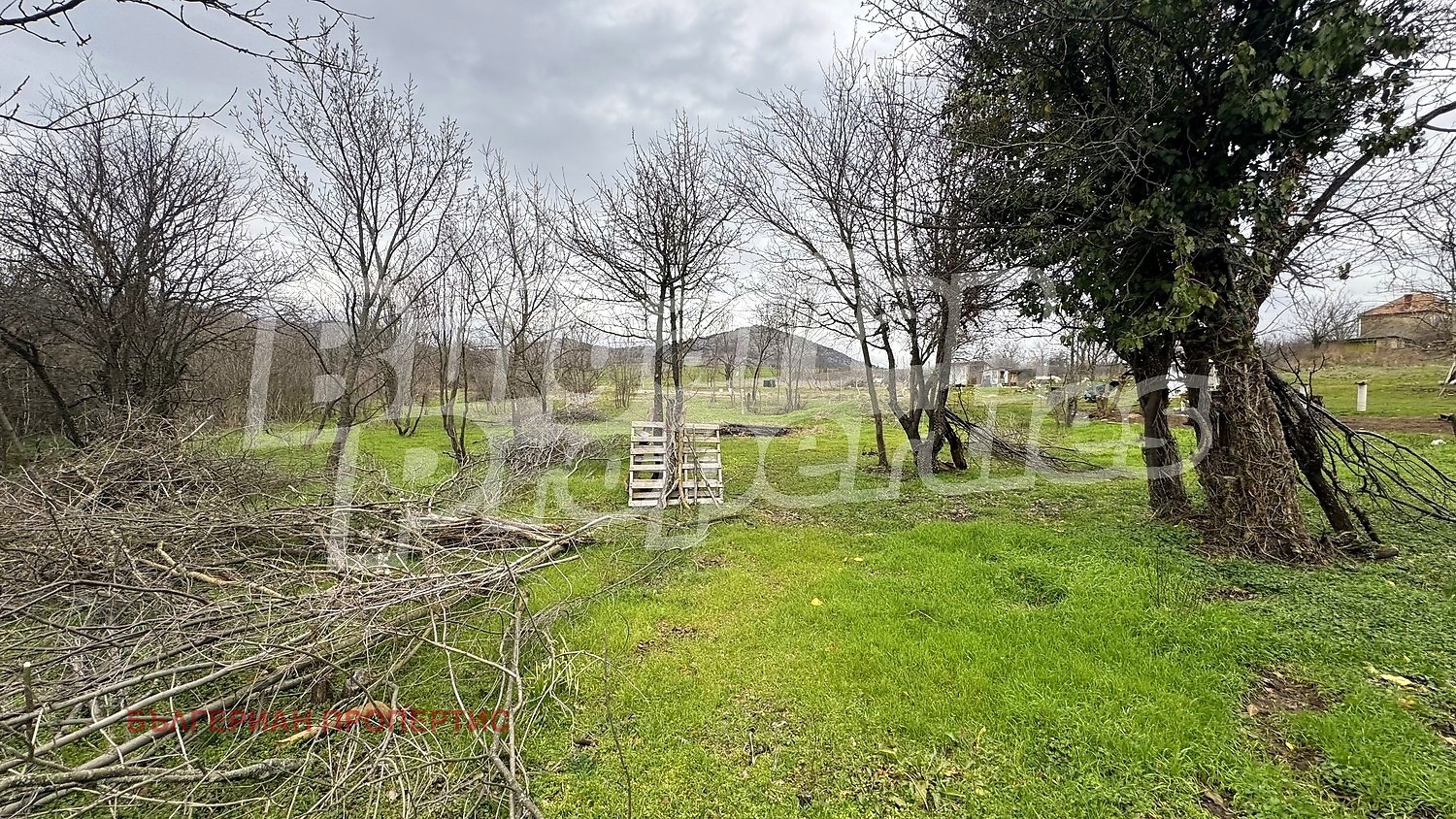 ������� ���� | Imot.bg � ����������� 17