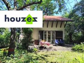 ������ ������� ����