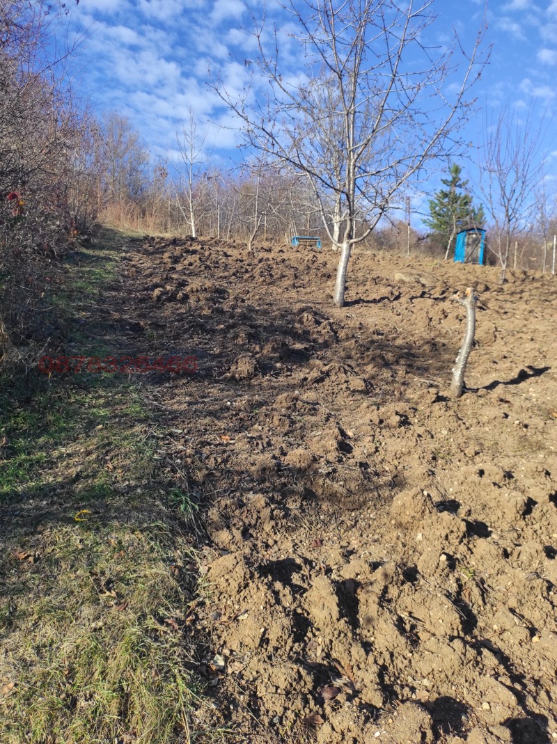 Продава ПАРЦЕЛ, гр. София, с. Кокаляне, снимка 2 - Парцели - 52908574