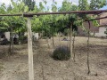 Продава КЪЩА, с. Велино, област Шумен, снимка 10