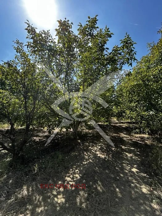 ������� ������ | Imot.bg � ����������� 1