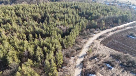 ������� ������ | Imot.bg � ����� ������ 2