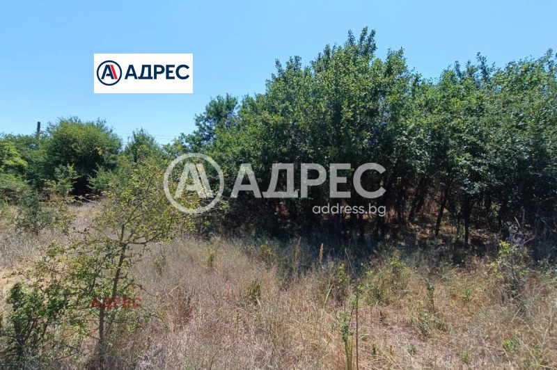 À venda  Trama região Varna , Avren , 2400 m² | 58304745 - imagem [3]