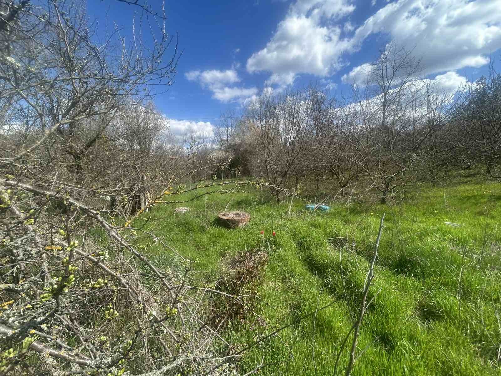 Продава ПАРЦЕЛ, гр. Търговище, Вилна зона, снимка 3 - Парцели - 54144187