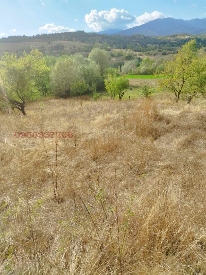 Продава ПАРЦЕЛ в област Благоевград, с. Горно Драглище - 946 кв.м / При запитване