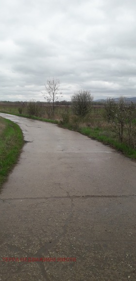 ����� ������� ������,���� �����, �. ��������