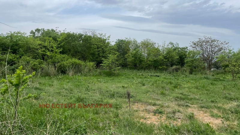 For Sale  Plot region Varna , Avren , 1464 sq.m | 26107969 - image [2]