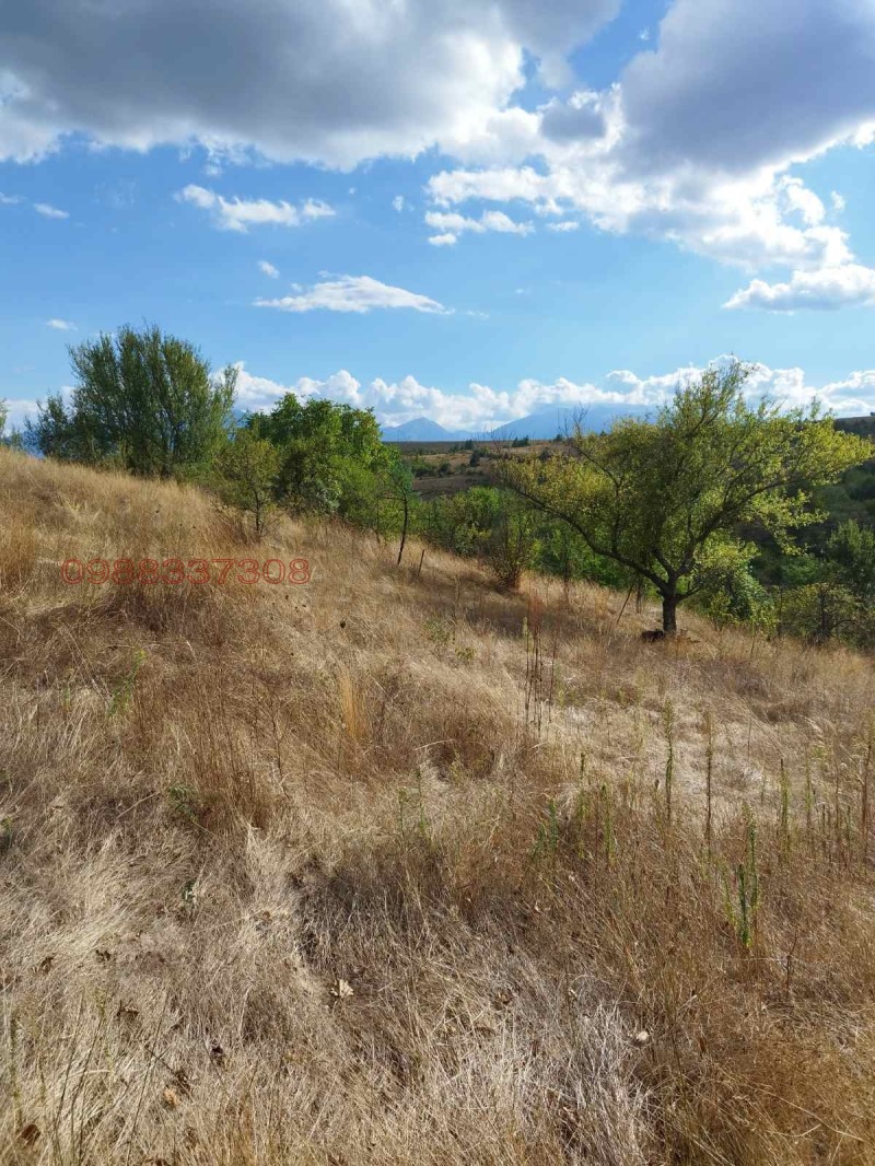 Продава ПАРЦЕЛ, с. Горно Драглище, област Благоевград, снимка 3 - Парцели - 52779383