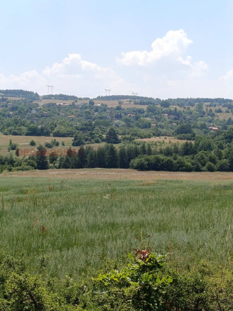 Продава ЗЕМЕДЕЛСКА ЗЕМЯ, с. Костадинкино, област София област, снимка 2 - Земеделска земя - 52886127