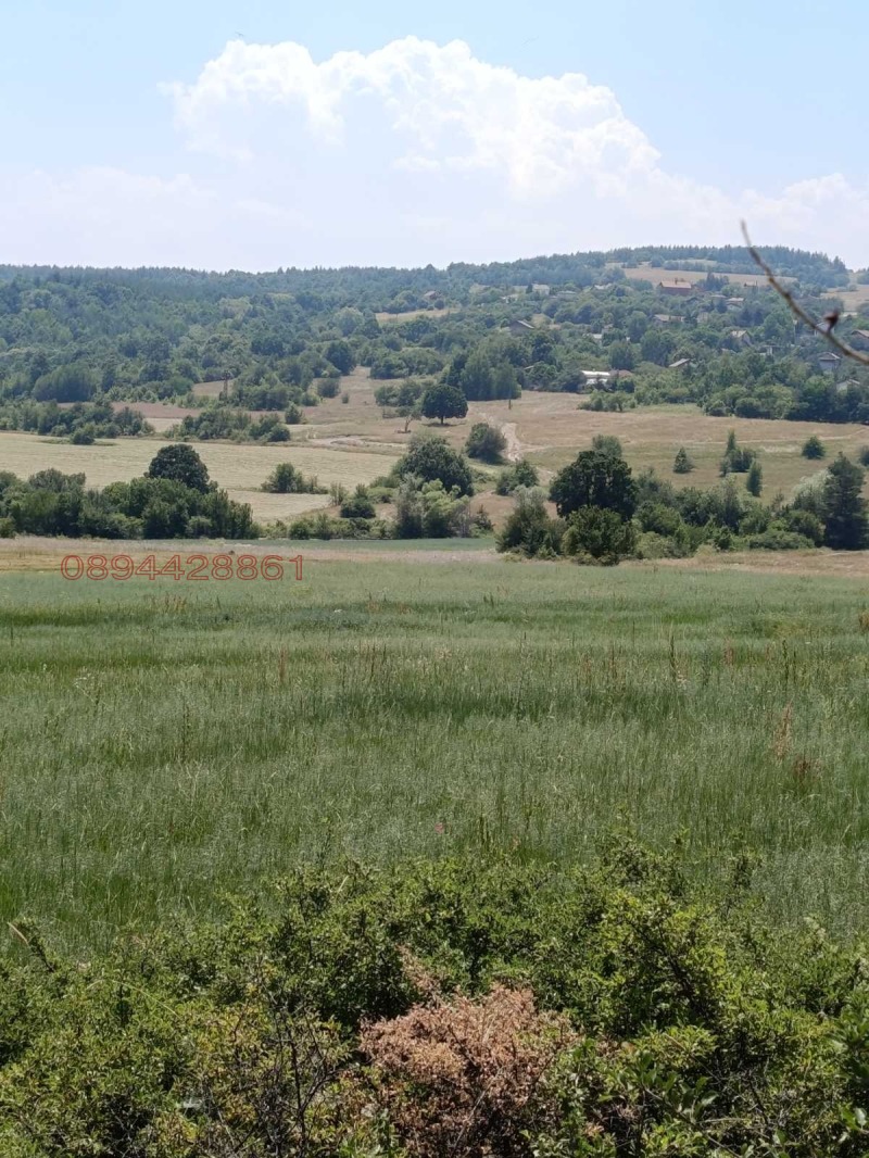 Продава ЗЕМЕДЕЛСКА ЗЕМЯ, с. Костадинкино, област София област, снимка 3 - Земеделска земя - 52886127