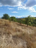 Продава ПАРЦЕЛ, с. Горно Драглище, област Благоевград, снимка 3