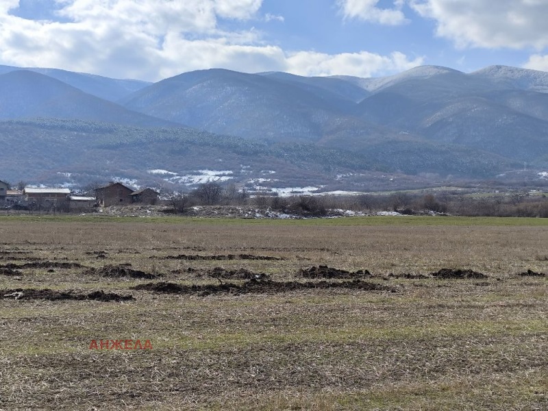 Продава ПАРЦЕЛ в област Пазарджик, с. Црънча - 1170 кв.м / 23 500 € » 45 962.01 лв., АНЖЕЛА