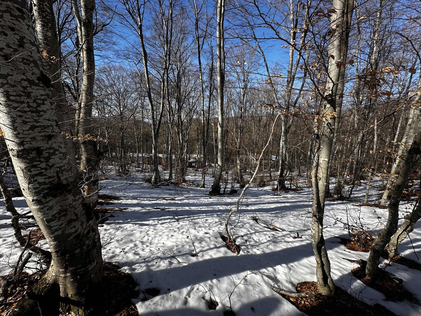������� ������ | Imot.bg � ����������� 6