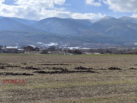 Plot Tsrancha, region Pazardzhik 1