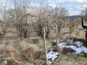 Plot Tsrancha, region Pazardzhik 2