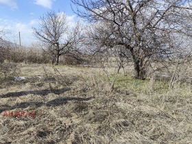 Парцел с. Црънча, област Пазарджик 7