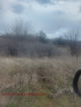 ������� ������ | Imot.bg � ����� ������ 2