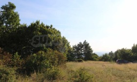 ������� ������ | Imot.bg � ����� ������ 5