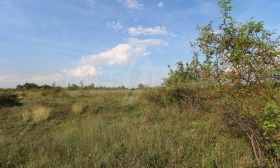 ������� ������ | Imot.bg � ����� ������ 9