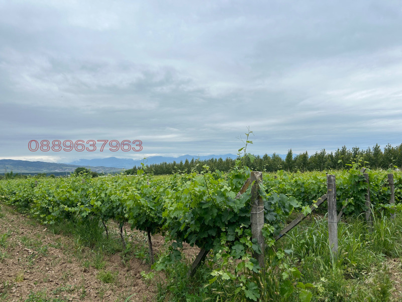 Продава ПАРЦЕЛ, гр. Петрич, област Благоевград, снимка 4 - Парцели - 52786045