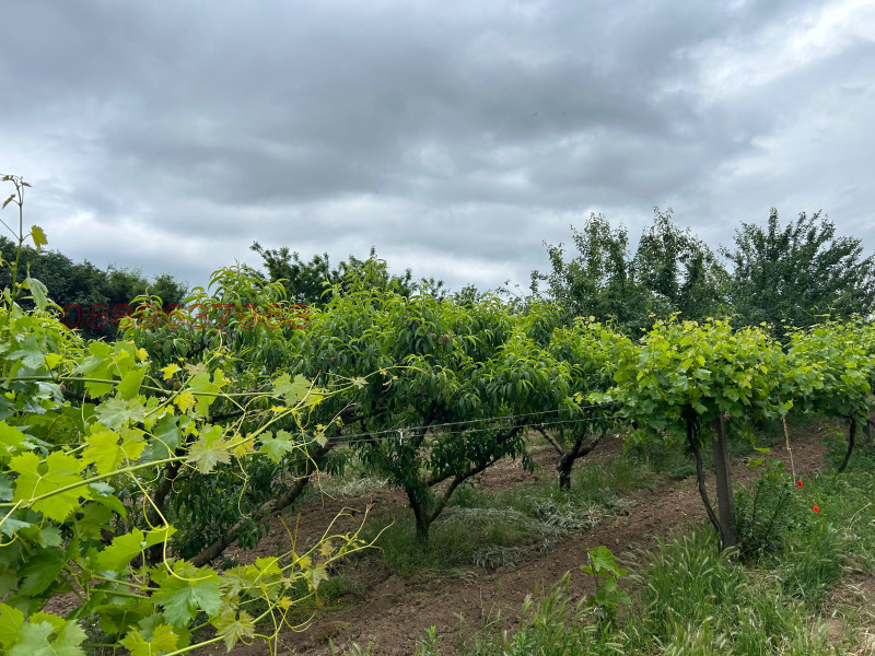 Продава ПАРЦЕЛ, гр. Петрич, област Благоевград, снимка 3 - Парцели - 52786045