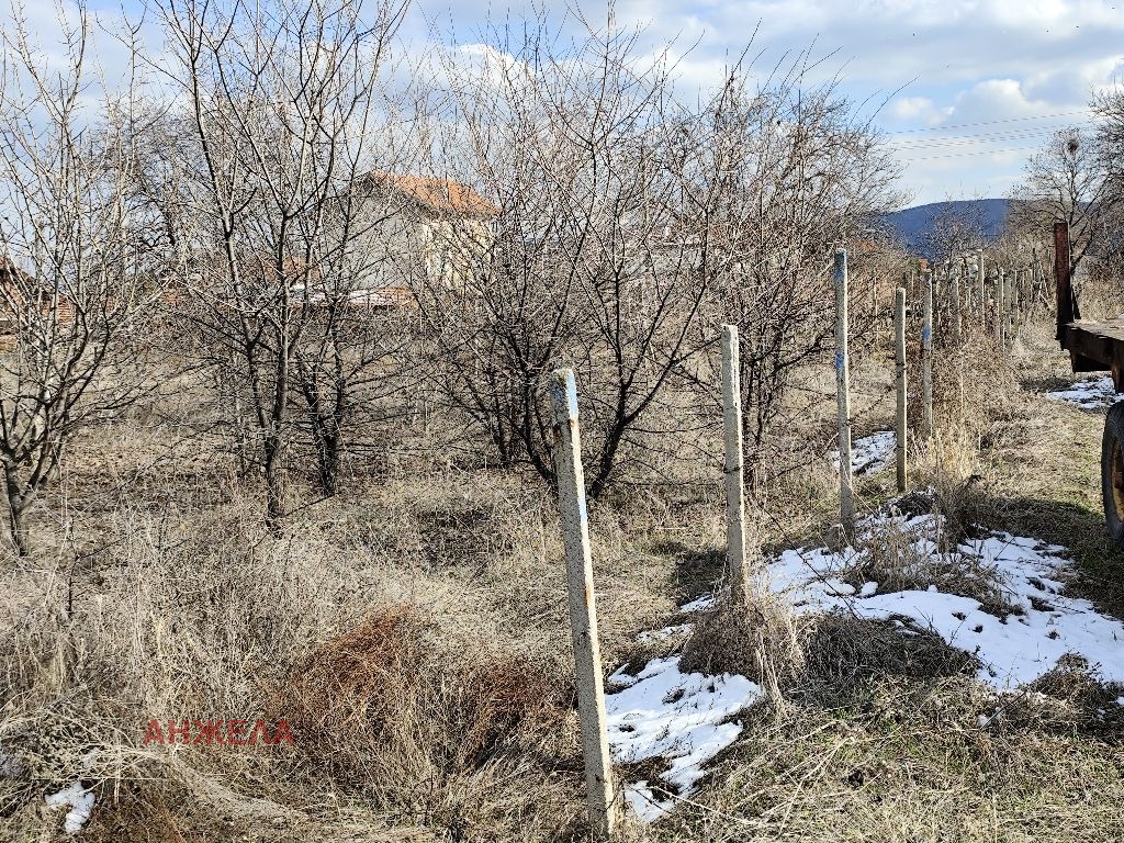 Продава ПАРЦЕЛ, с. Црънча, област Пазарджик, снимка 2 - Парцели - 49229562