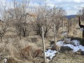 Продава ПАРЦЕЛ, с. Црънча, област Пазарджик, снимка 2