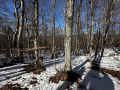 Продава ПАРЦЕЛ, гр. Разлог, област Благоевград, снимка 2
