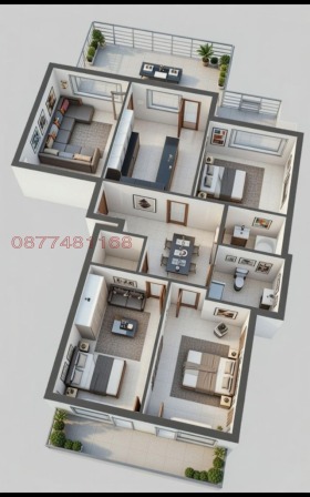 ����� ������� ����������,���� �����, ���� ����� 2