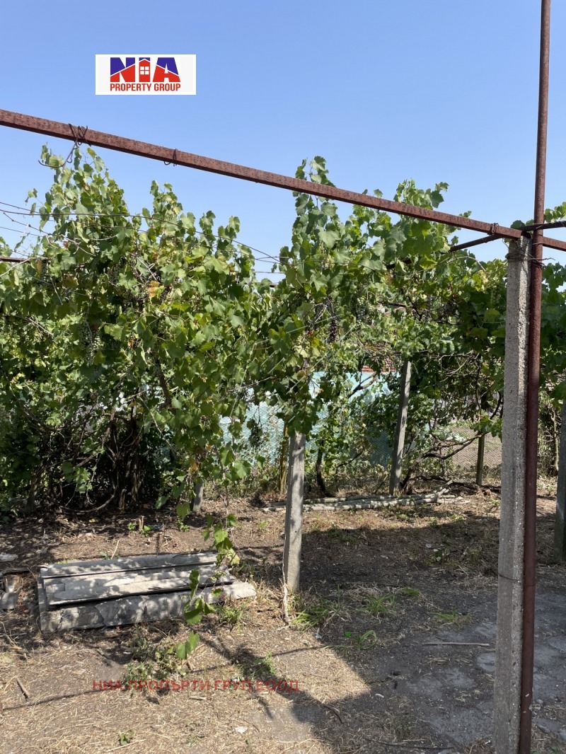 Til salg  Hus region Burgas , Rusokastro , 800 kvm | 86534234 - billede [4]