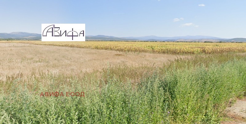 For Sale  Plot region Sofia , Elin Pelin , 4520 sq.m | 89003247 - image [2]