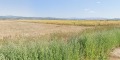 Продава ПАРЦЕЛ, област София, гр. Елин Пелин • 226000 € • 66836466 — Holmes.bg
