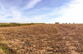 For Sale Land
