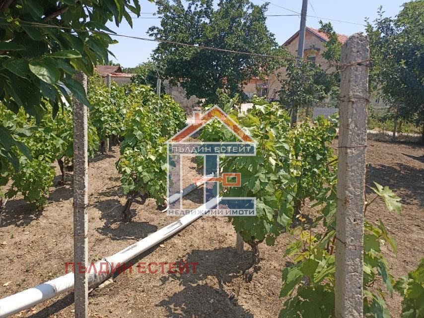 Продава КЪЩА, с. Цар Асен, област Пазарджик, снимка 12 - Къщи - 54841971
