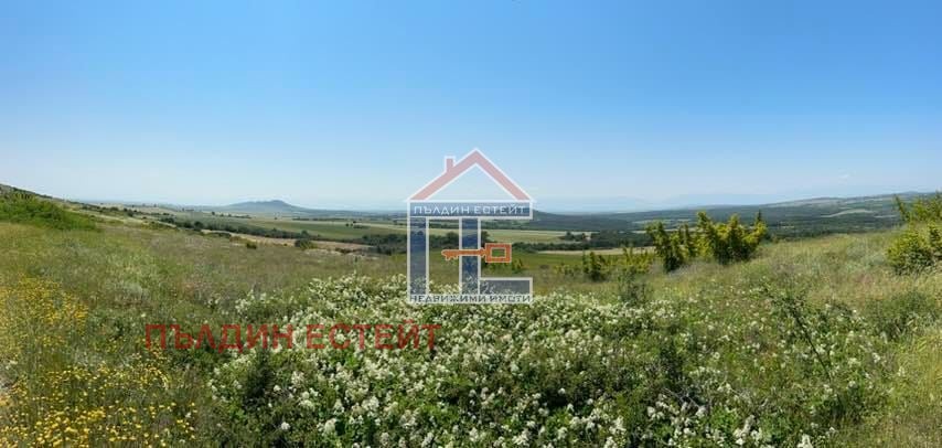 Продава КЪЩА, с. Цар Асен, област Пазарджик, снимка 17 - Къщи - 54841971
