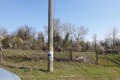 Продава  Парцел област Варна , с. Дюлино , 1500 кв.м | 32283517 - изображение [4]